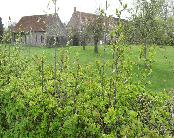 Den Bock